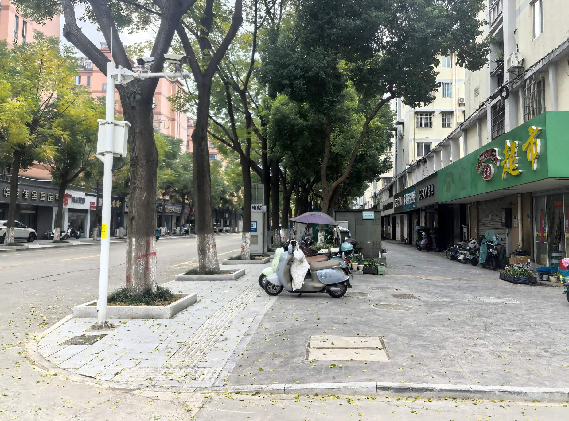 1763451420437636.jpg 1763451420437636.jpg